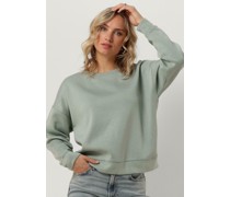 Msch Copenhagen Damen Pullover Mschima Q Sweatshirt - Grün