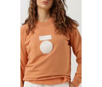 Pullover Cropped Icon Sweater