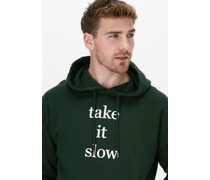 Sweatshirt Ray Hoodie