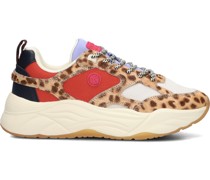 Scotch & Soda Damen Sneaker Low Celest - Merhfarbig/Bunt