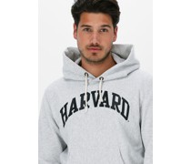 Sweatshirt Hooded Sweatshirt 218030