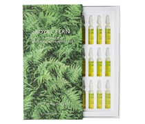 Phytoactive Anti-Oxidative Ampoules