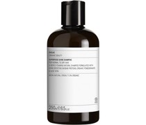 Evolve Organic Beauty Körper & Haarpflege Haarpflege Superfood Shine Shampoo