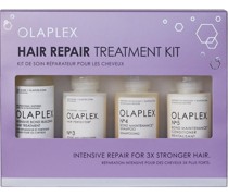 Stärkung und Schutz Hair Repair Treatment Kit
