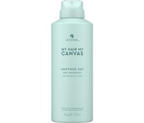 My Hair Canvas Styling Another Day Dry Shampoo