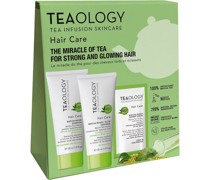 Teaology Pflege Haarpflege Geschenkset Matcha Repair Shampoo 30 ml + Matcha Repair and Glow Hair Mask 30 ml + 1x Matcha Repair Instant Serum
