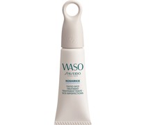 Gesichtspflegelinien WASO Tinted Spot Treatment Golden Ginger