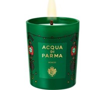 Acqua di Parma Home Fragrance Home Collection Bosco Candle