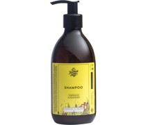 Collections Lemongrass & Cedarwood Shampoo