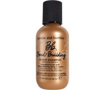 Shampoo Bond-building Repair