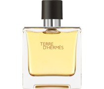 Hermès Herrendüfte Terre d'Hermès Parfum Spray