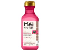Daily Hydration Hibiscus Water Conditioner
