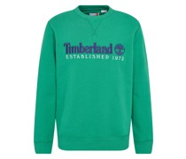 Color Blast - 50th Edition Sweatshirt Grün