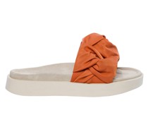 Slides