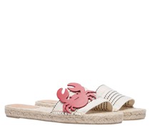 Slides