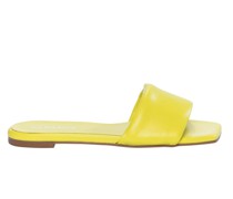 Slides