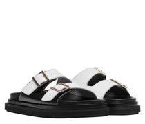Slides