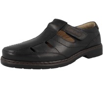 Slipper 'Alastair'