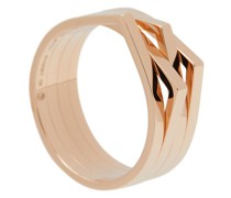 Ring Antifer