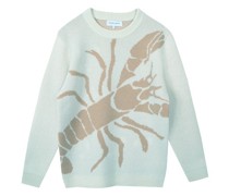 Wollpullover Pronteau „lobster“
