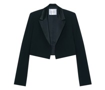 Blazer Zengel