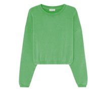 Sweatshirt Izubird