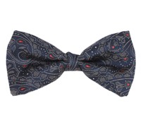 Paisley Jacquard-Seidenfliege