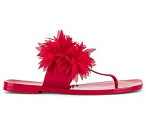 Jeffrey Campbell SANDALE POLLINATE in Red