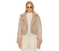 Apparis JACKE JAY in Taupe