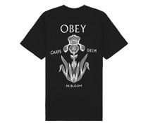 Obey SHIRTKLEIDER in Black
