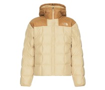 The North Face HOODIE in Tan