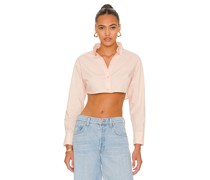 L'Academie OBERTEIL BRIAR in Beige