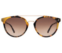 illesteva SONNENBRILLE PUGLIA in Brown.