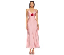 Bardot MAXIKLEID ARADIA in Rose