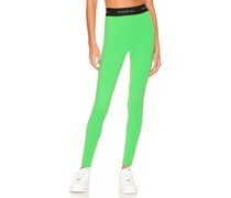 KORAL LEGGINGS ADEN in Green