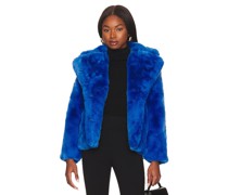 Apparis JACKE MILLY in Royal