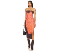 Miaou KLEID LILA in Coral