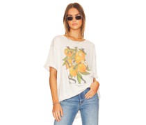 The Laundry Room SHIRT MIMOSA in Ivory