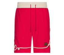 Advisory Board Crystals SHORTS in Red