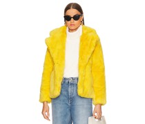 Apparis JACKE MILLY in Yellow