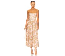 Bardot KLEID LOLA in Tan