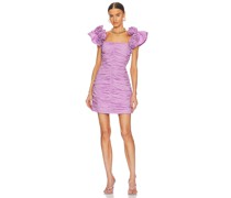 ELLIATT KLEID SHIRLEY in Lavender