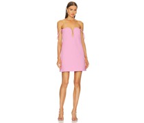 Alexis KLEID BRANT in Pink