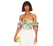 LPA OBERTEIL RAE in Green,Pink