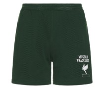 Museum of Peace and Quiet SHORTS in Dark Green
