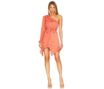BCBGMAXAZRIA ABENDKLEID MIT FLORALEM JACQUARDMUSTER in Rust