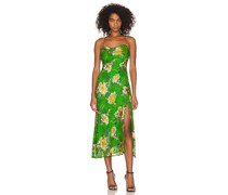 ASTR the Label KLEID GAIA in Green