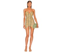 Alexis KLEID ALVA in Neutral