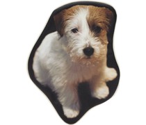 Black & White Dog Pouch
