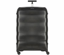 4-Rollen Trolley